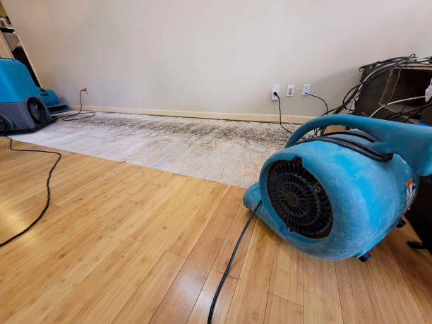 Professional Basement Flood Cleanup technician working in Holladay, UT